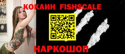крисы Бийск