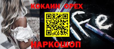 крисы Бийск