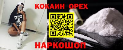 крисы Бийск