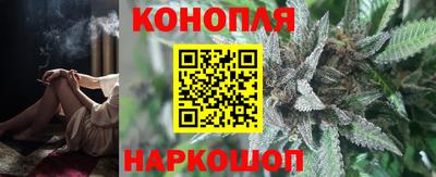 крисы Бийск