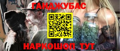 крисы Бийск