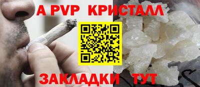 крисы Бийск